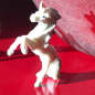 Preview: 55 MicroTiere im Stoffbeutel